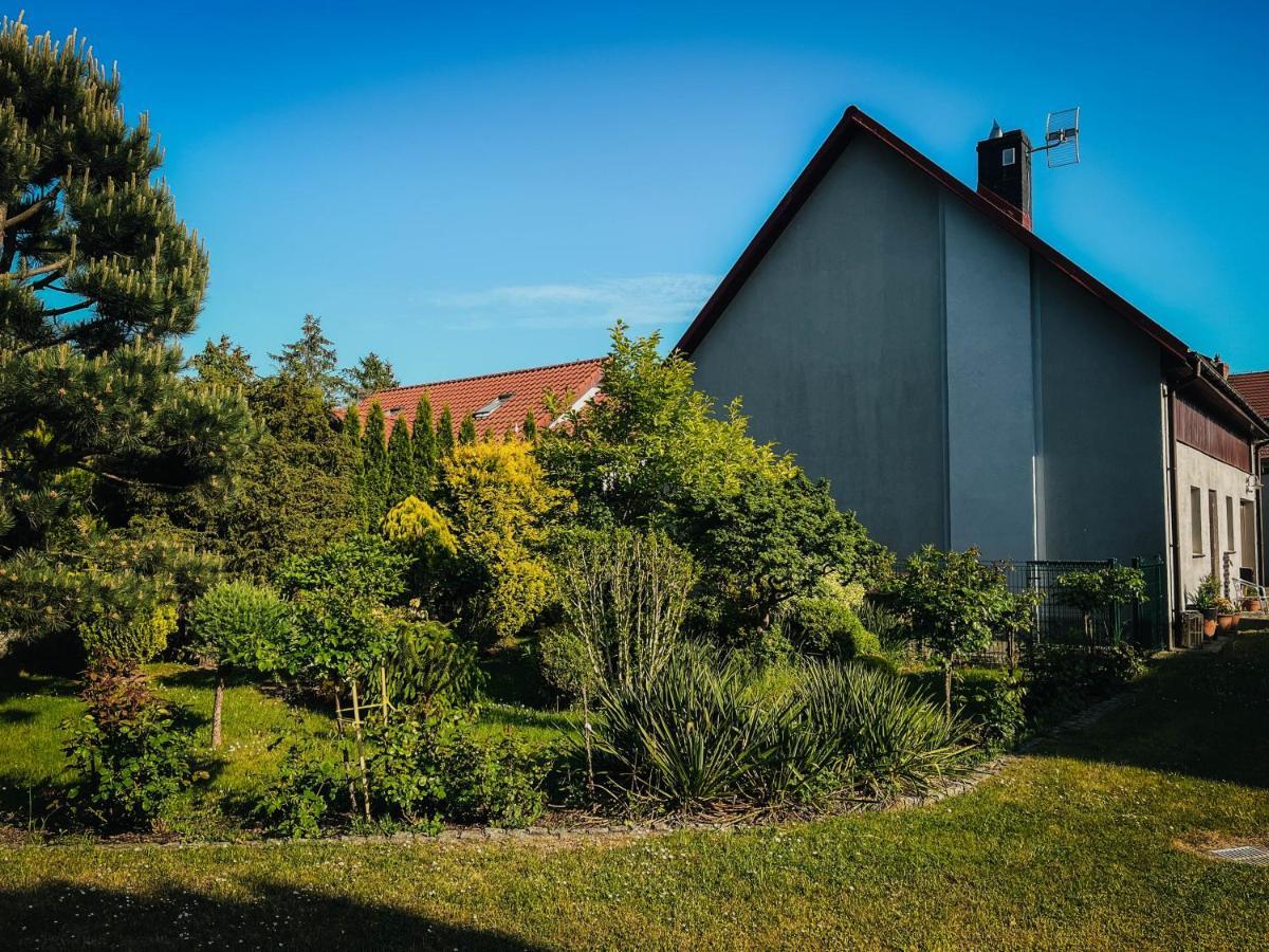 Pokoje Na Orzeszkowej Cammin in Pommern Exterior foto
